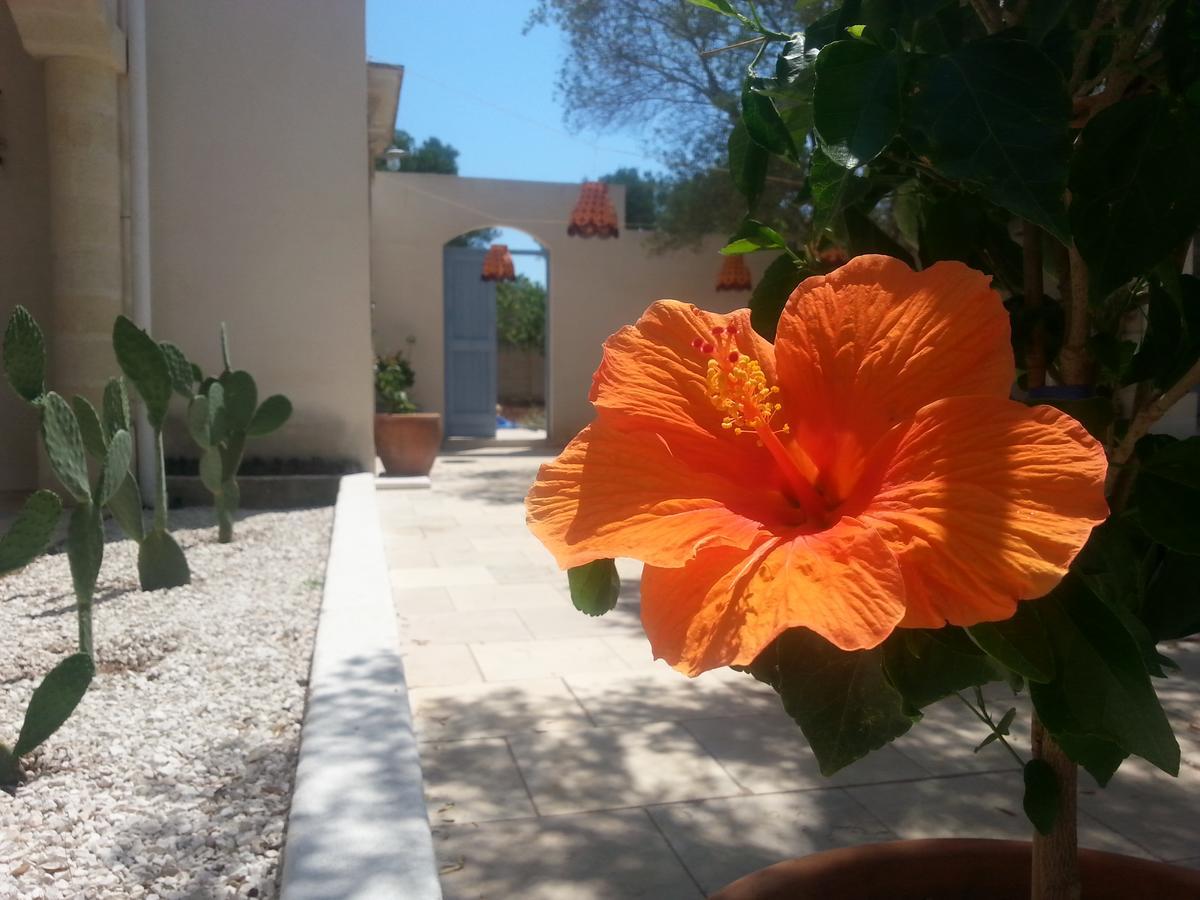 The Proud Garden Bed & Breakfast Carovigno Bagian luar foto